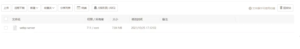 无缝将网站上所有图片自动转换为 WebP 格式