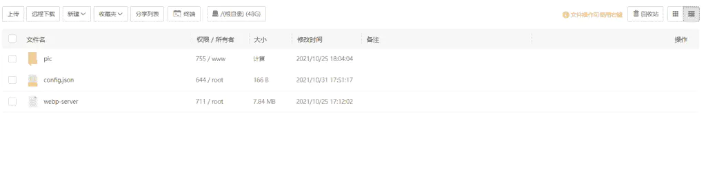 无缝将网站上所有图片自动转换为 WebP 格式
