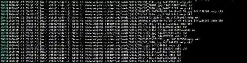 无缝将网站上所有图片自动转换为 WebP 格式