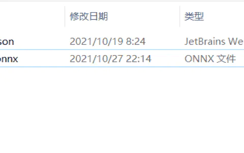 用Netron读取并查看ONNX网络结构模型
