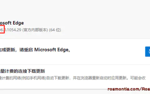 Edge断网小游戏：surf冲浪+源代码